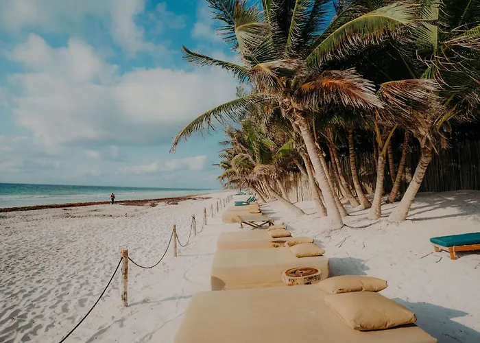 Luxury 2 Story Penthouse With Private Pool, Gym & Rooftop Apartamento Tulum